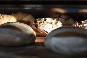 Tarjeta regalo | 106 | Elka - Obrador Sin Gluten